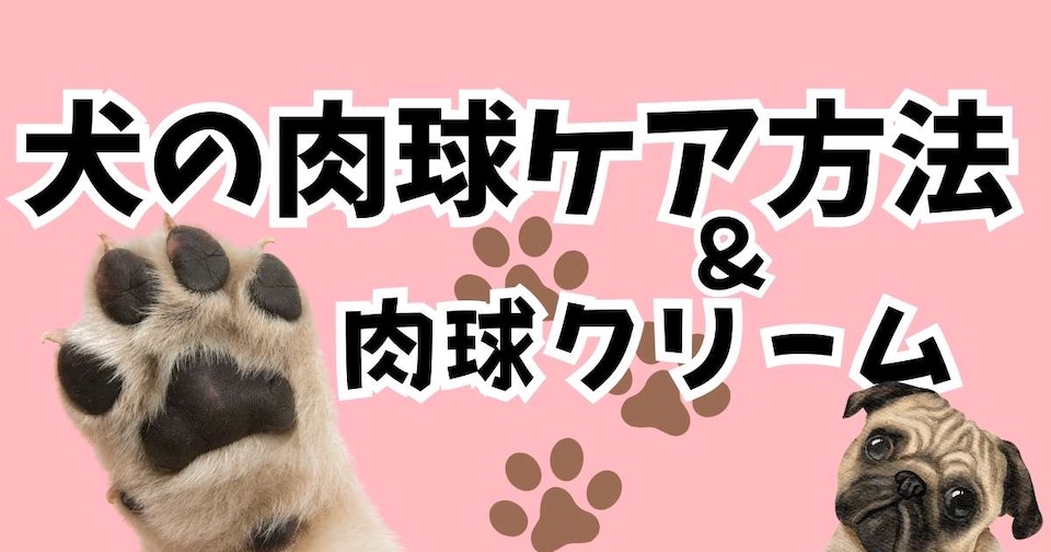 【犬の肉球ケア】カサカサを防ぐお手入れ方法とトラブル対策/おすすめ肉球クリームの見出し画像