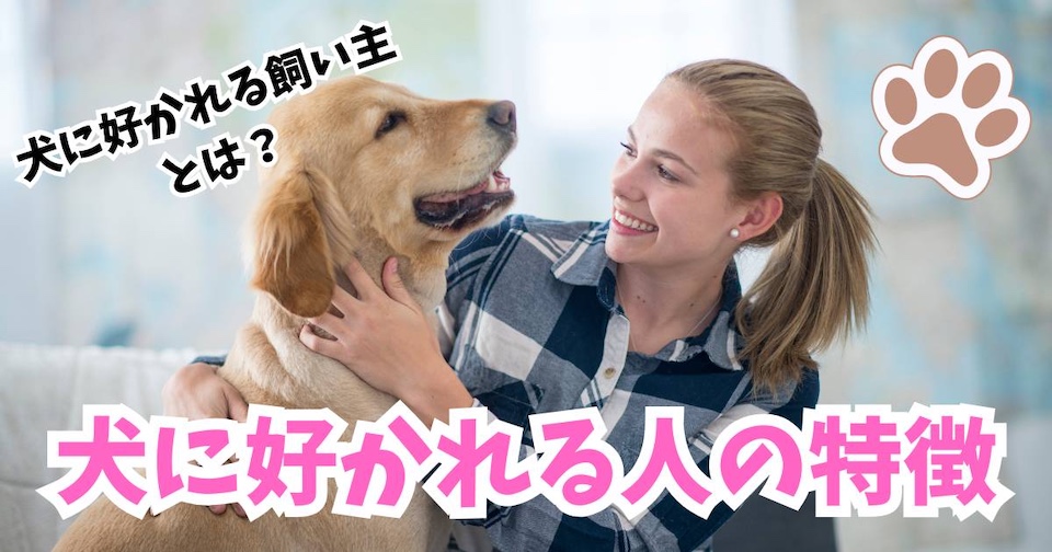 犬に好かれる人の特徴/犬に好かれる飼い主になるには？見出し画像