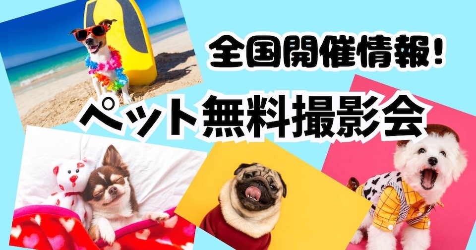 【犬ねこ】無料ペット撮影会〜プロカメラマンに撮ってもらえる！【全国開催中】見出し画像