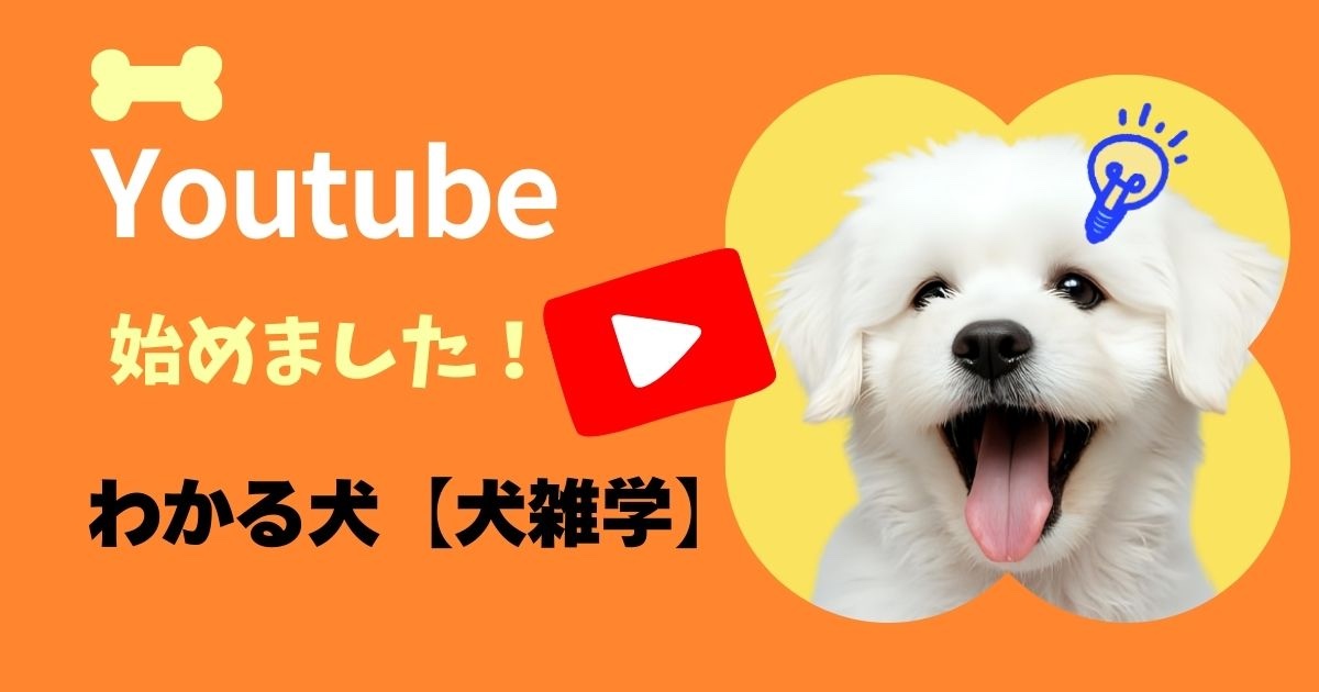 犬の豆知識を毎日お届け！YouTubeチャンネル〜わかる犬【犬雑学】紹介の見出し画像