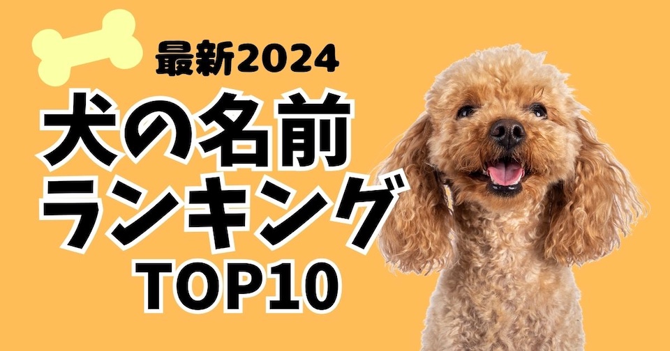 人気の名前は？犬の名前ランキング2024をわかりやすく！海外との比較見出し画像