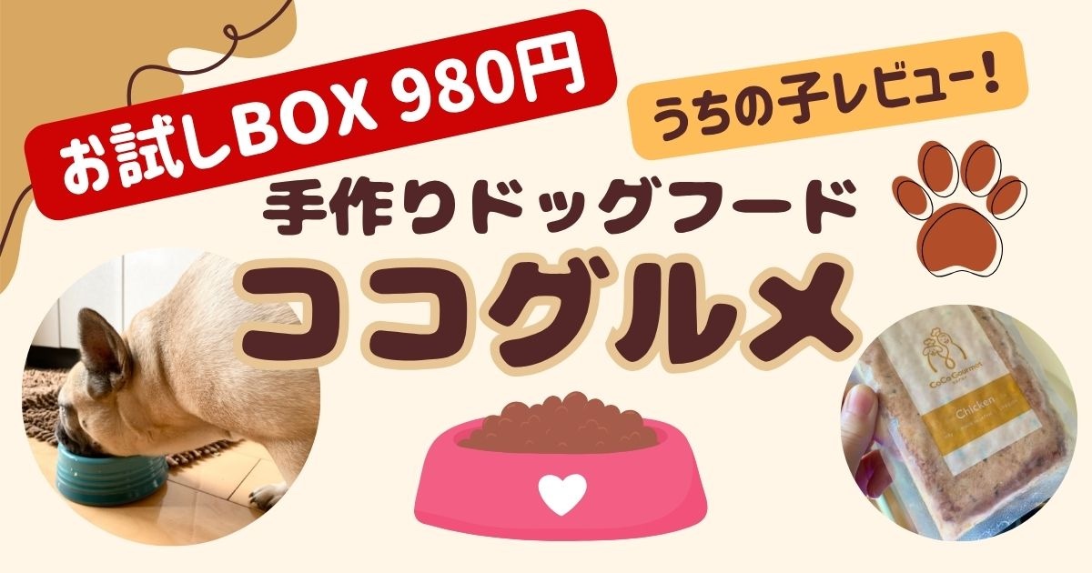 【2025最新ココグルメ】お試しモニターが最高だった！私の口コミと評判の見出し画像