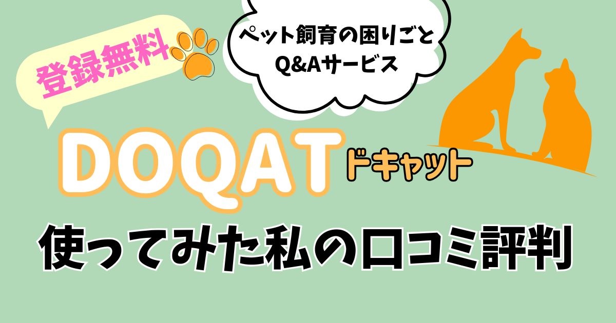 DOQAT（ドキャット）徹底解説！体験した私の口コミと評判の見出し画像